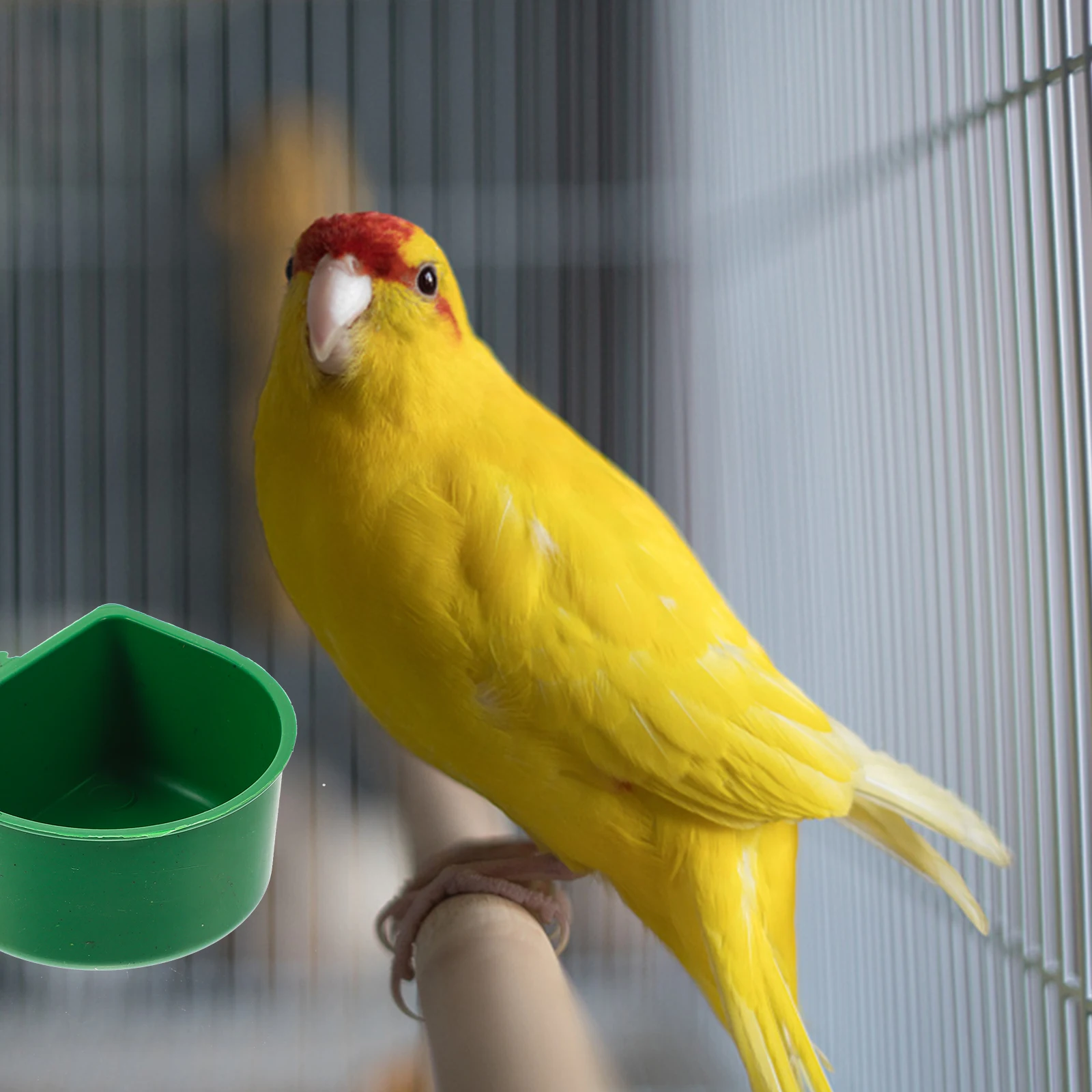 

20pcs Bird Food Box Cage Accessories Plastic Feeder Parrot Water Bowl Large Capacity Hanging Design Pet Supplies