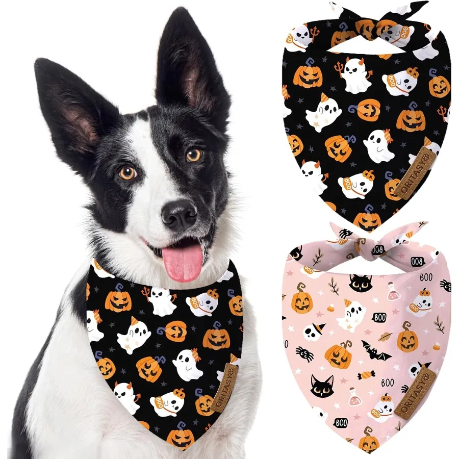 Pink Halloween Dog …