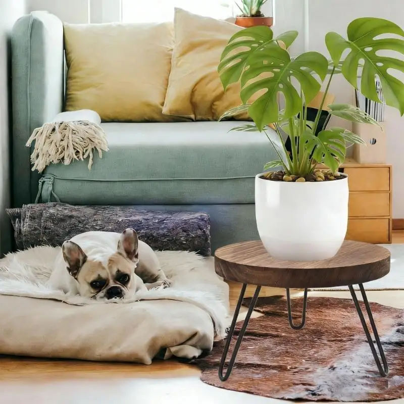 QX2E Sturdy Wooden Pot Holder Prevents Slipping Support Plant Indoor Outdoor Garden