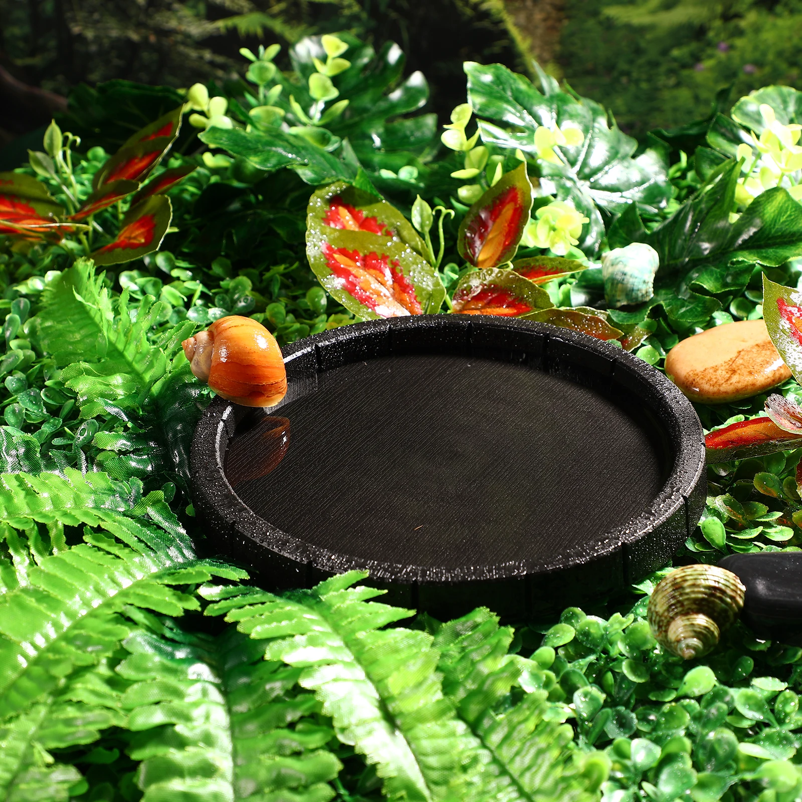 

Pet Feeder Bowls for Reptiles Lizards Tortoises Durable Safe Environmental Plastic Food Water Container Supplies