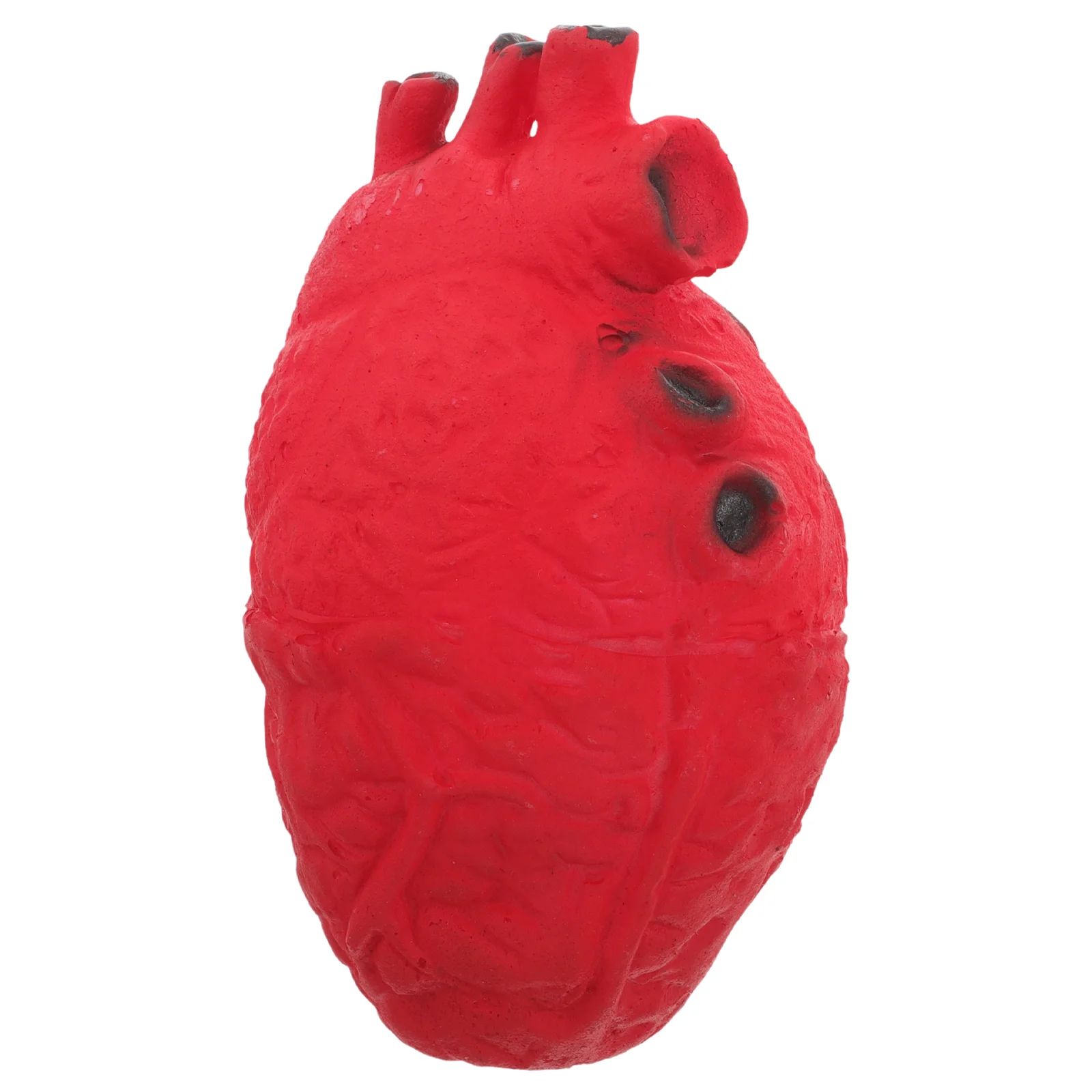 Scary Bloody Simulation Heart Organ Realistic Life Size  Halloween Party Haunted House Decorations Prop