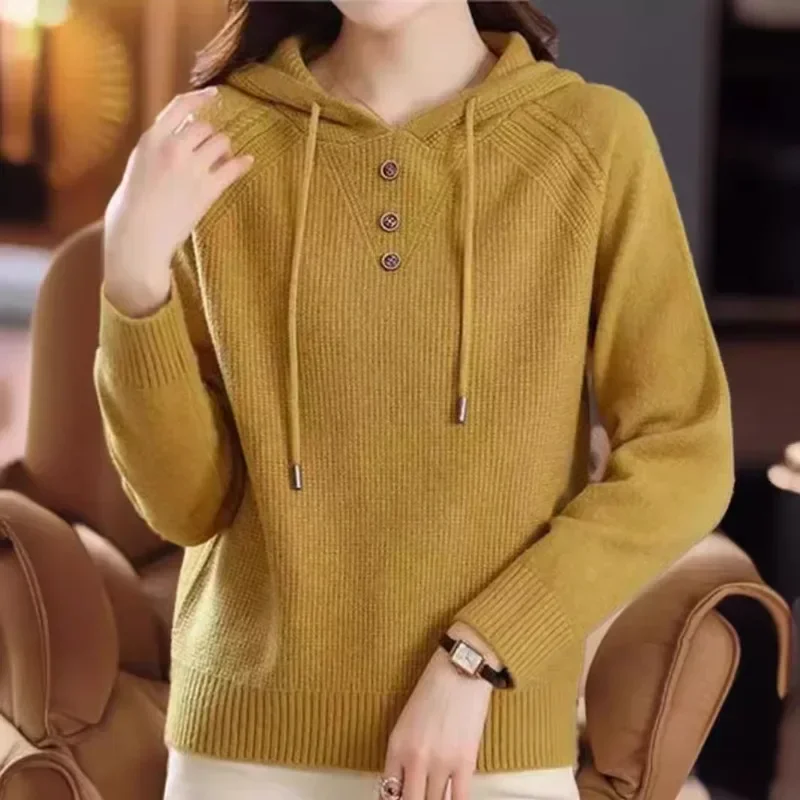 

Hooded Sweaters Women Long Sleeve Knitted Korean Ins Style Loose Pullovers Autumn Winter Prevalent Casual Daily Warm Comfortable