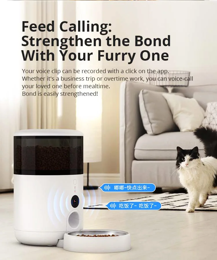 Alimentatore automatico intelligente per animali domestici WiFi Dispenser di alimenti programmabile ecologico per cani e gatti Tempi e parti di alimentazione lenta