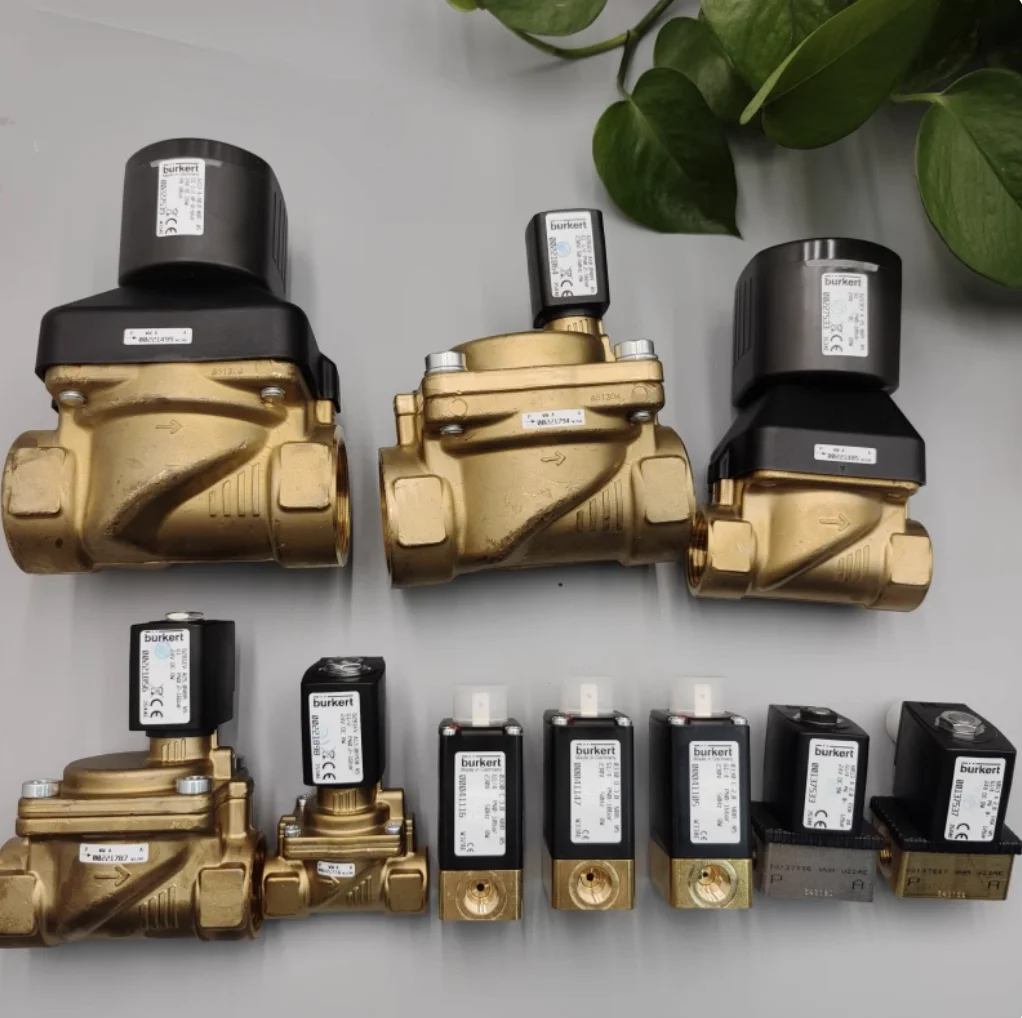 00221642 Burkert 6213 G1 Brass Solenoid Valve 20 Flow Hole 00221643 00221645 FKM Seal