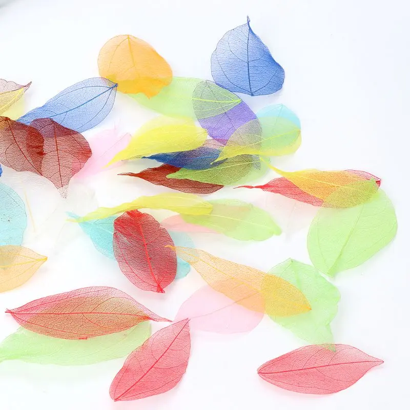 50 Pcs Mixed Color Skeleton Leaves Christmas Wedding Gifts Packing Material