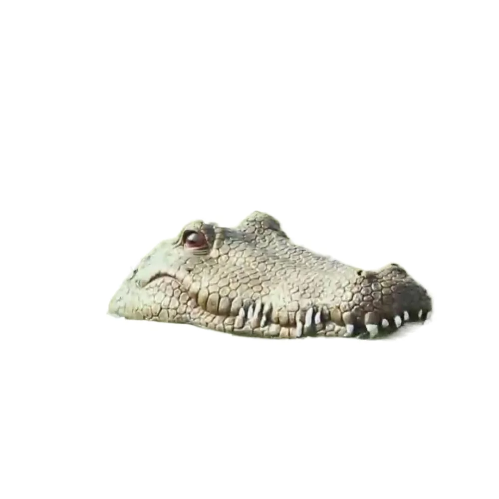 

Water park, real crocodile vs. amphibious, simulated crocodile 2.4G