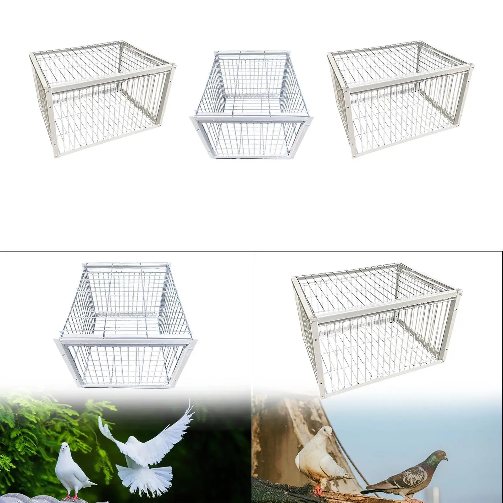 Pigeon Bird Trap Cage Single Way Entry Door Escapeproof Easy Assembly Animal Trap for Chicken Quail Sparrows Andowns Cardinals