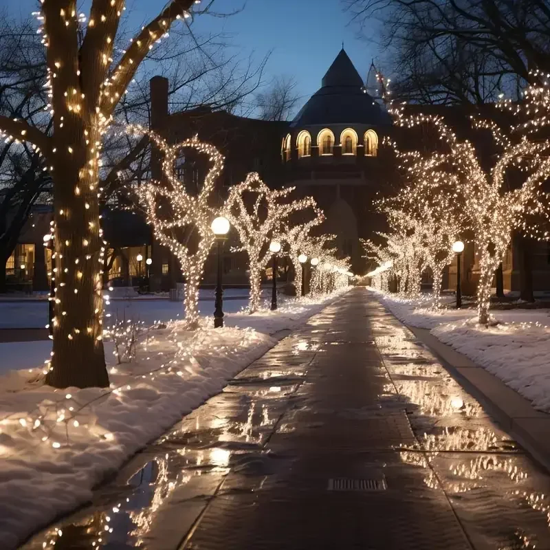 Outdoor Solar Power String Lights LED Solar Fairy Lights Waterproof with 8 Modes for Gardens Trees Parties Wedding Christmas