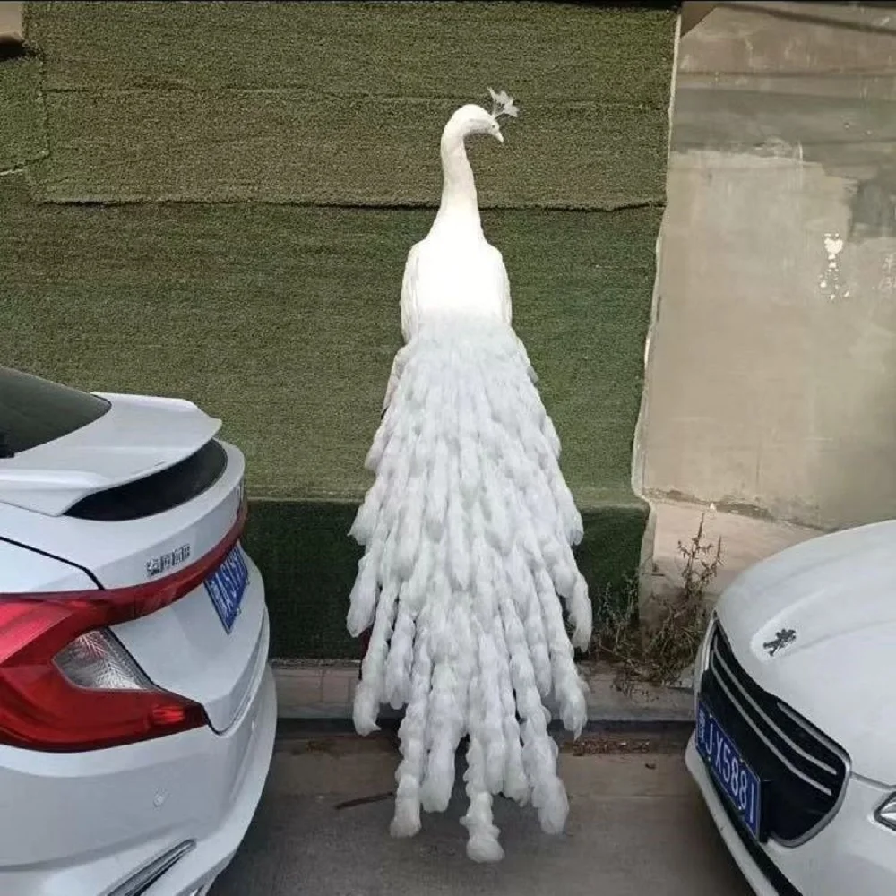 big creative simulation peacock model foam& feather white peacock gift about 150cm xf2998