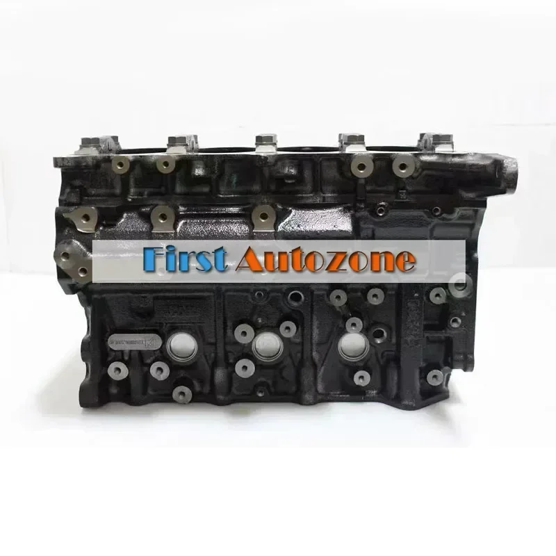 11009-VW20b Cylinder Block for Nissan Zd30