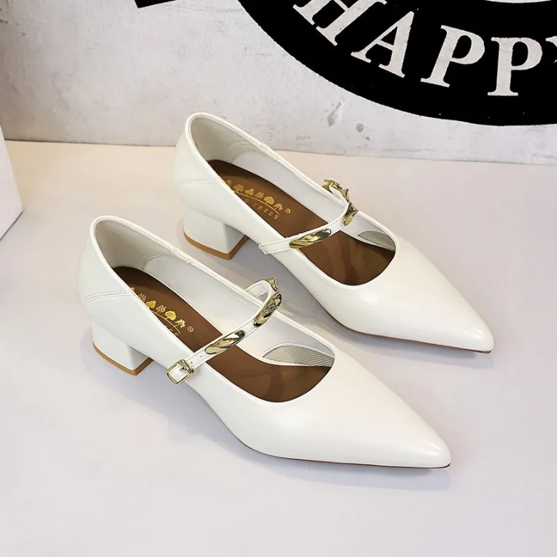 Hot Sale Korean Vintage Shoes For Women Pointed Toe Mary Jane Block Heels Comfortable Mid Heel Casual Dress Shoes