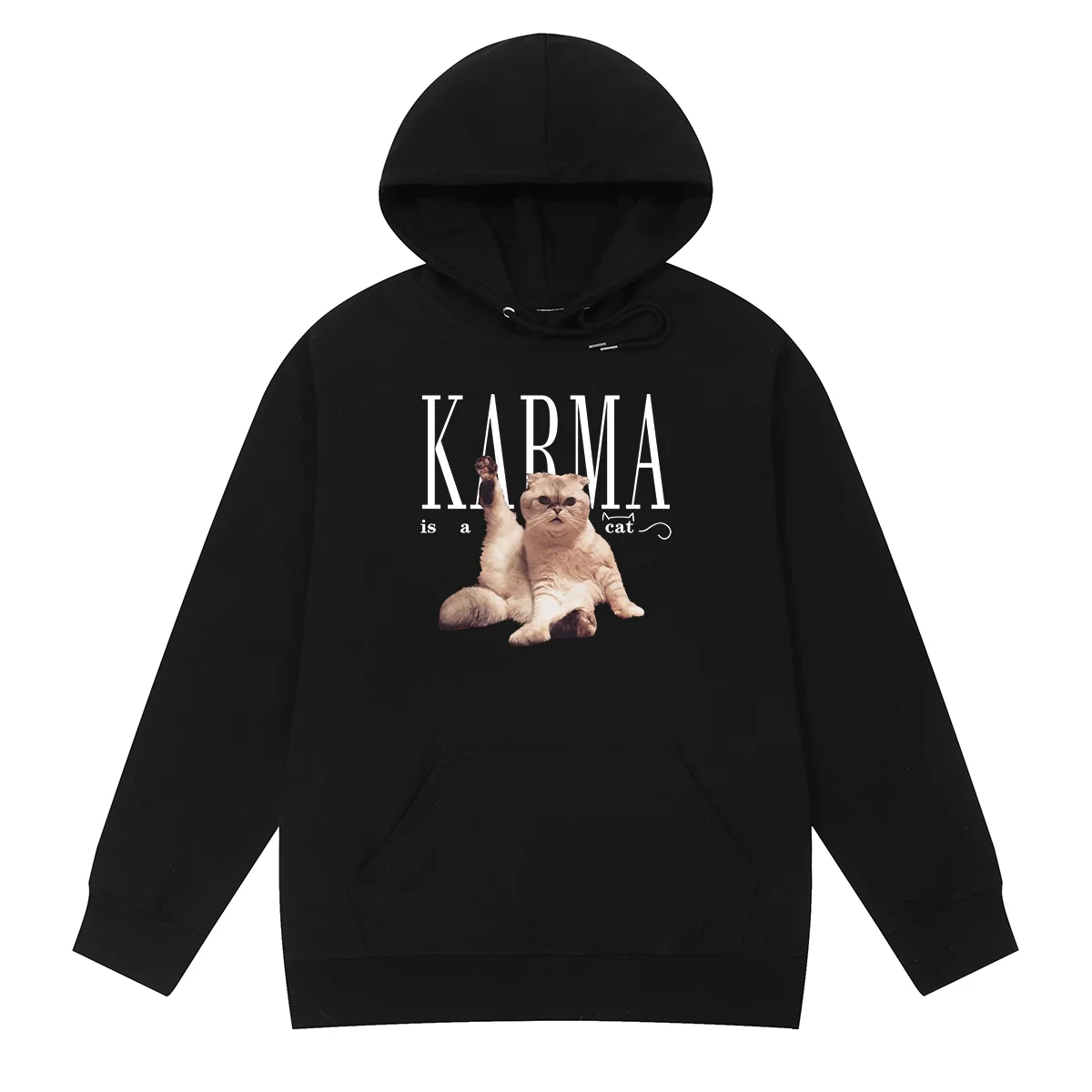 

Karma is a Cat Taylor Vintage Hoodies Sweatshirts Music Boys Girls Sweater Clothes Men Women Unisex Cotton