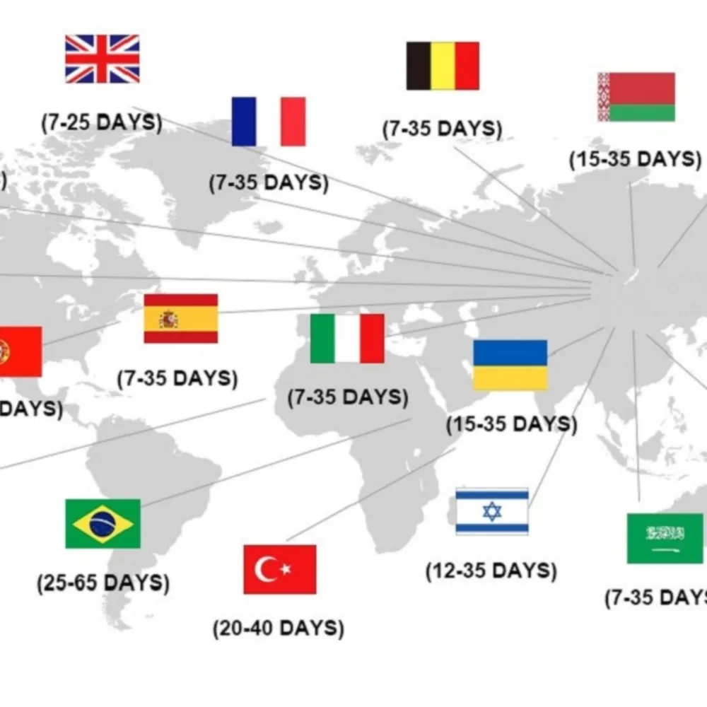 Spring Autumn New P… - image