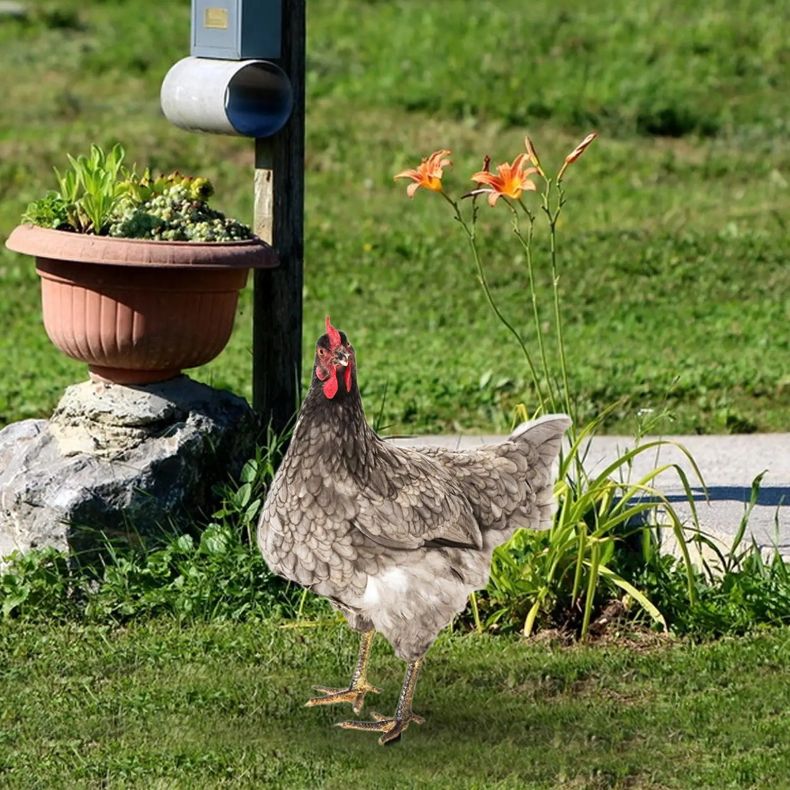 Rooster Yard Art Stake Acrylic Animal Plaque Chicken Lawn Decoration for Garden Outdoor Pathway Flower Bed and Porch