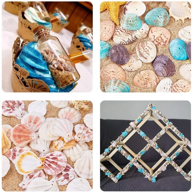 1500pcs Mixed Ocean Sea Shells Natural Seashells Spiral Shell Beads for Fish Tank Home Decor Beach Theme Party Candle Making