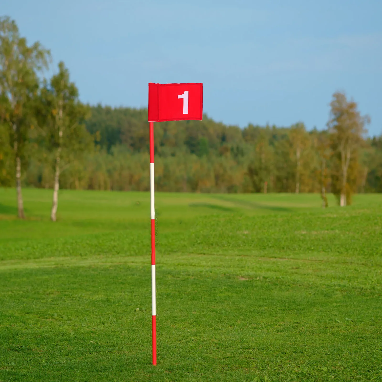 

4pcs Golf Flags Numbered Targeting Flags For Putting Green Practice Wear-Resistant Portable Outdoor Training Aids
