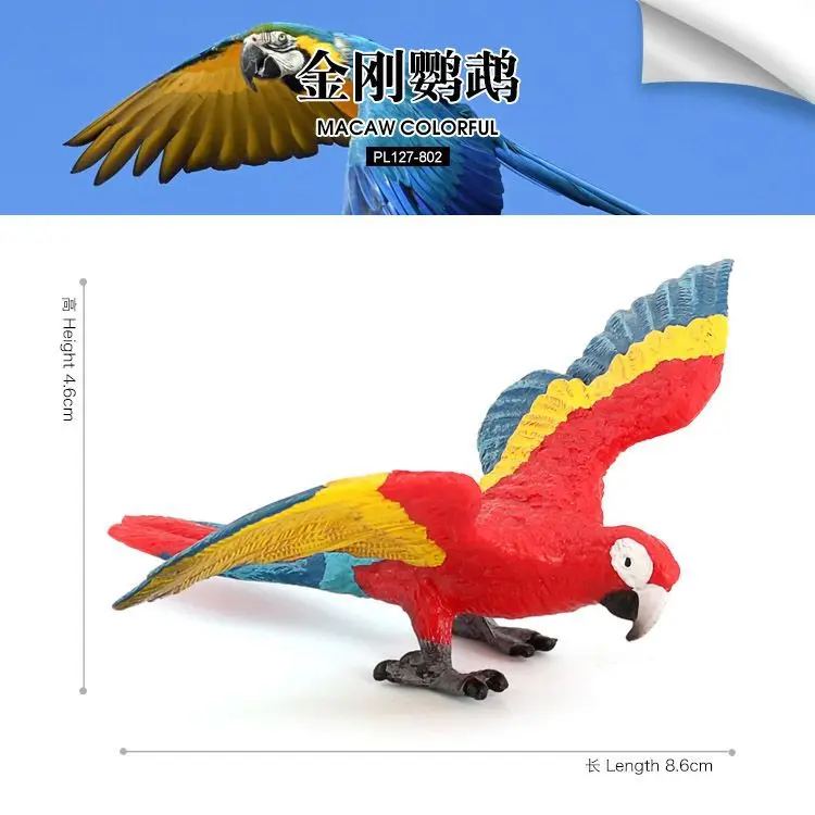 Children's toys simulation wildlife bird model bird wings macaw early education cognitive gift ornament