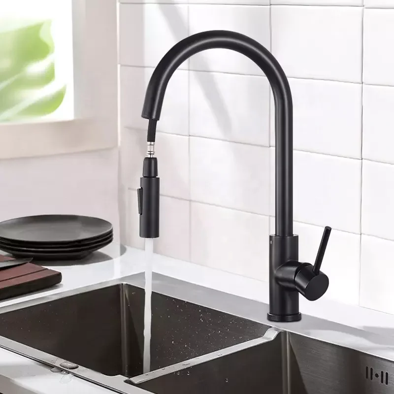 

Kitchen Faucet Water Tap Modern Kitchen Taps Brass Pull Out Sprayer Kitchen Mixer Sink Faucets Black Stainless Steel 304