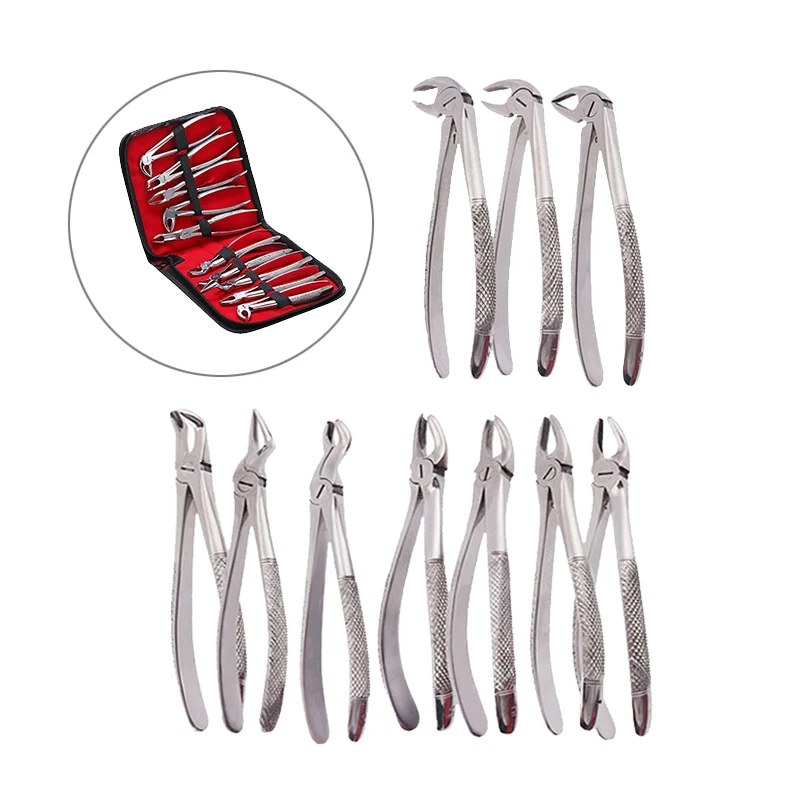 10pcs/set Dental Tooth Extracting Forceps Pliers for Adults Dental Surgical Extraction Instrument for Dental Clinic