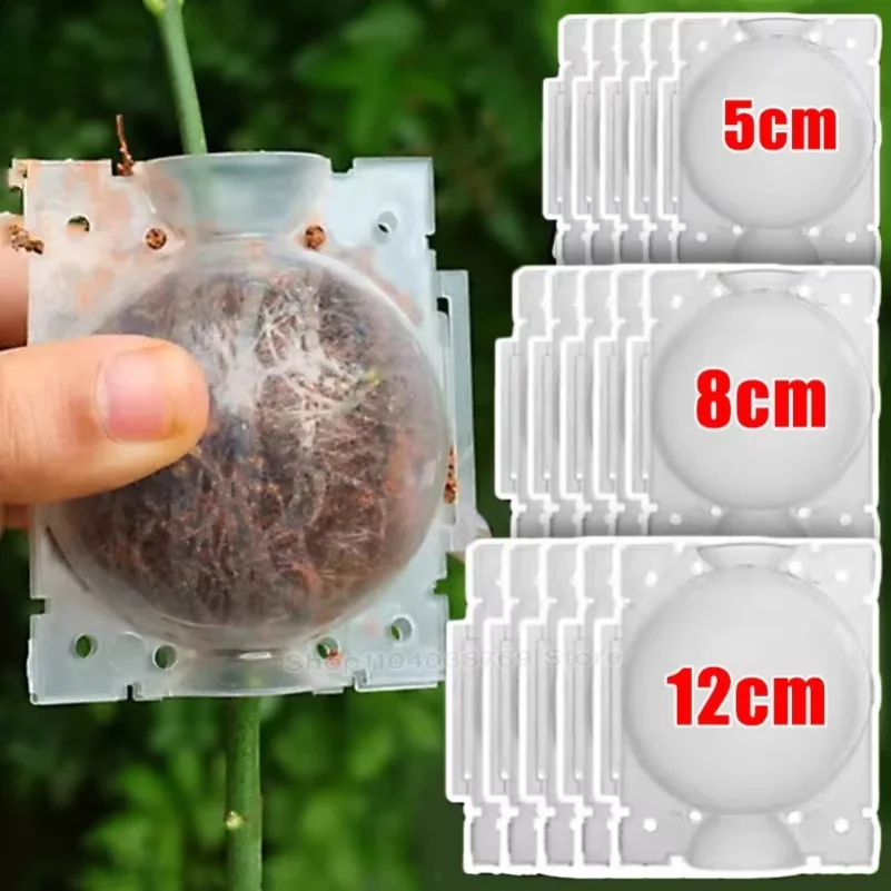 

Air Layering Pods Plant Rooting Ball High Pressure Propagation Root Grow Box Graft Breeding Growing Case Planting Nursery Pot