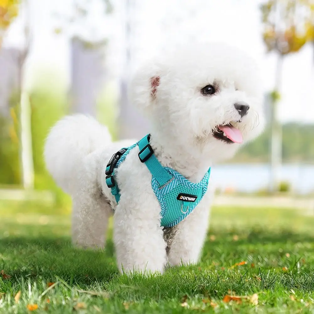 

Adjustable Dog Harness Set with Traction Rope Soft Mesh Jacket Harness Escape Proof Multi-color Dog Collars Leash Set
