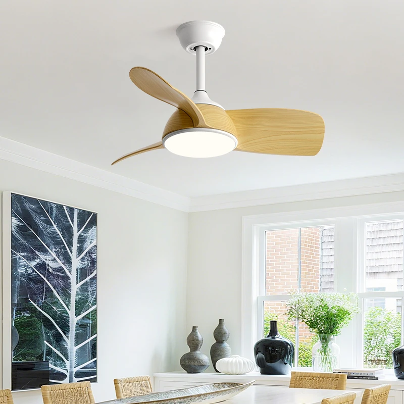 QINIWAKE 30 Inch Ceiling Fan LED Light 6 Wind Speeds All-Season Use Reversible Function Quiet DC Motor Ideal for Bedroom Balcony