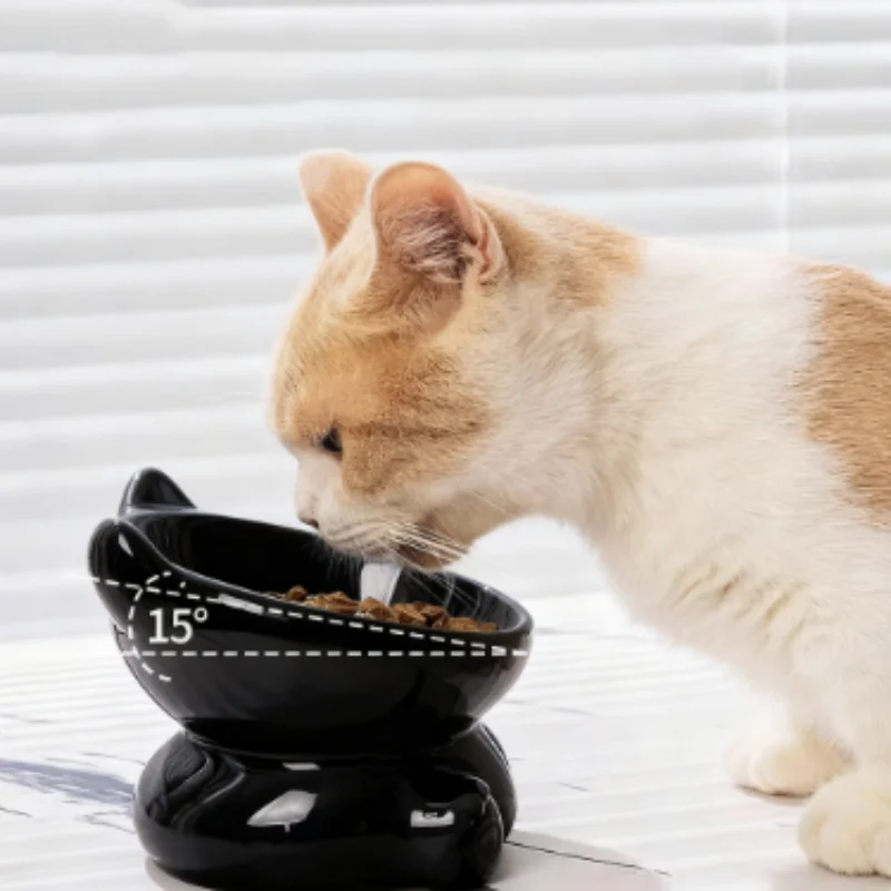 Bonita cuenco de cerámica para gatos con pies altos, cuenco de agua para perros, suministros para mascotas, protección de la columna Cervical, diseño Diagonal, accesorios para mascotas