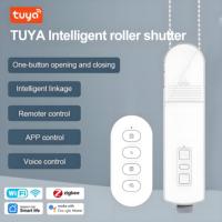 Tuya ZigBee WiFi Smart Motor Electric Chain Roller Blinds Shade Shutter Drive Voice control Kit Smart Life App via Alex Google