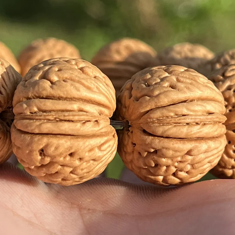 أصيلة البرية الطبيعية قصيرة الجذع الدماغ الحبوب البقان المغلفة الصغيرة الثقافية اللعب بوذا الخرز الخوخ الأساسية سوار #3