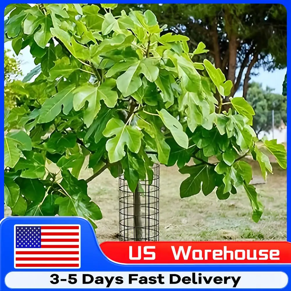 

6-шт. Защитные приспособления для растений с застежками-молнией и садовыми кольями. Металлическая клетка для обертывания деревьев. Защита коры деревьев для защиты трубок коры деревьев.