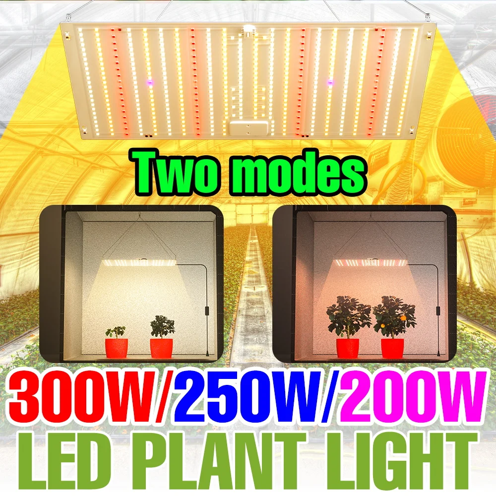 

Светодиодная лампа для растений 300 Вт, полный спектр, Quantum Board, для рассады, выращивания, теплиц, овощей и фруктов
