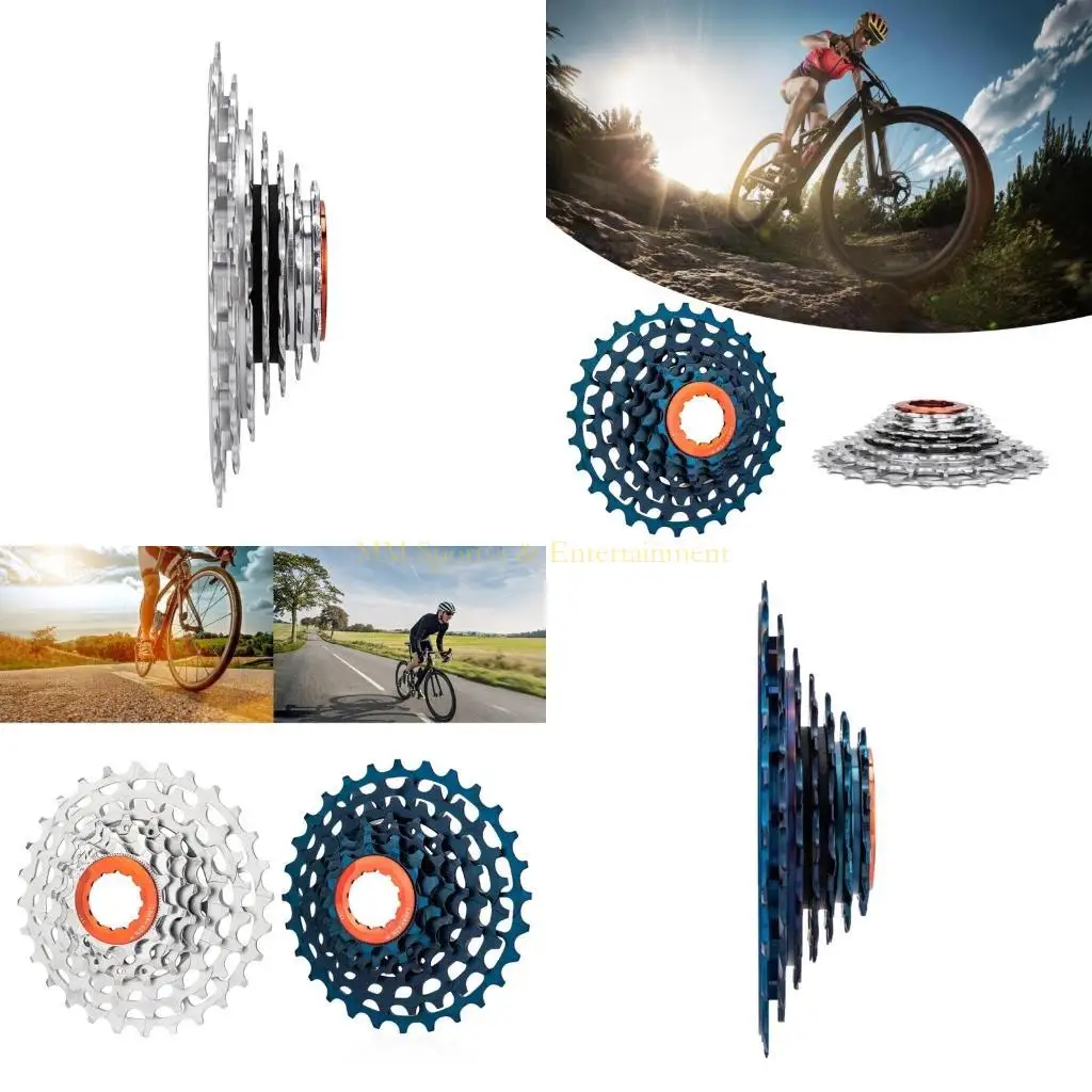 31BE 11-28T Folding…