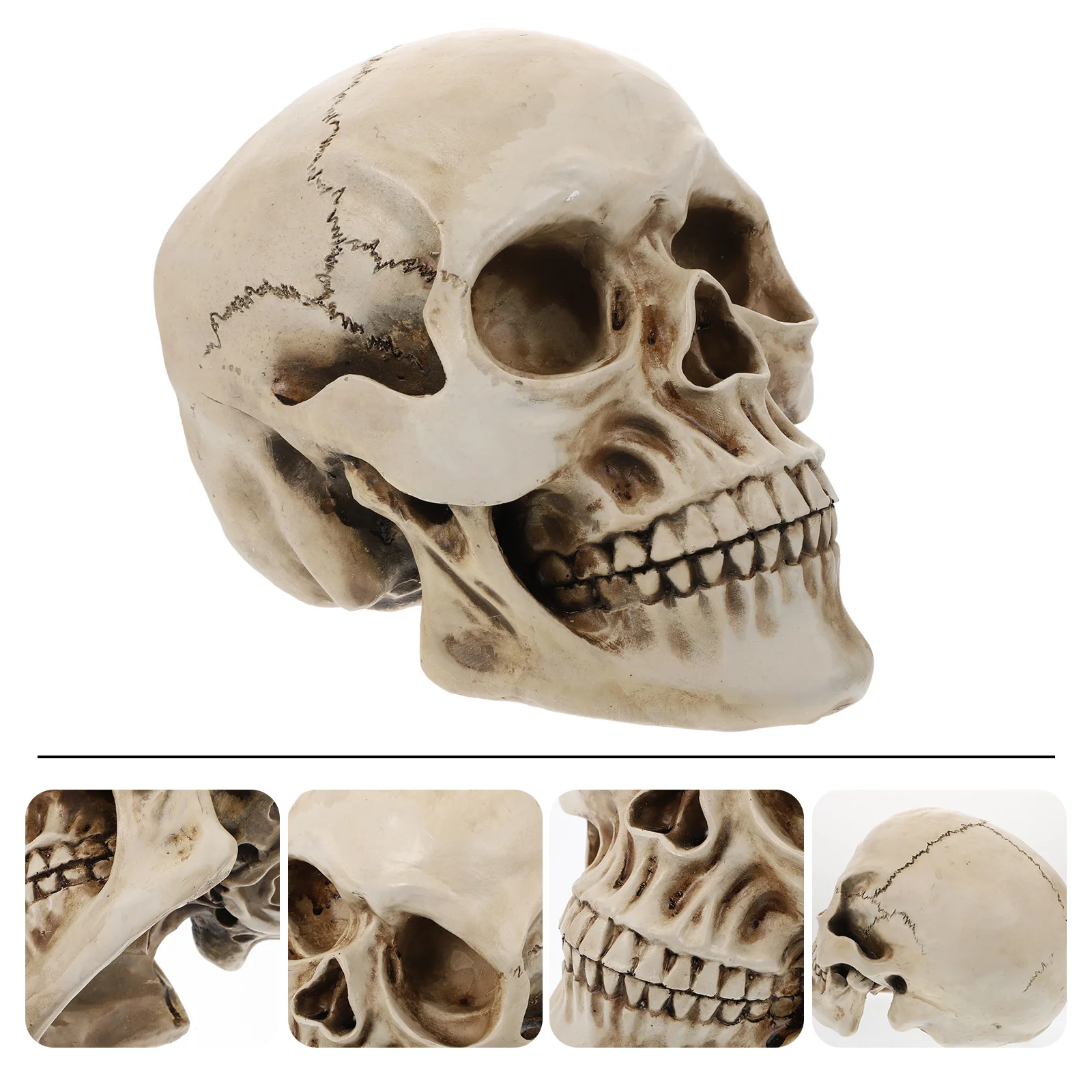 

1Pcs Resin Skull Decorative Statue Halloween Household Office Bar Bar Party Skull Tabletop Decor Halloween