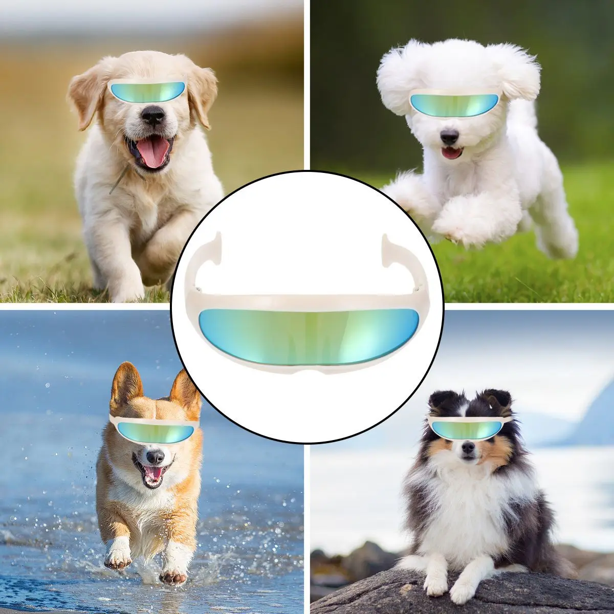 

2 Pcs Windproof Pet Cat Ski Glasses Set Protective Plastic Accessory Sunglasses