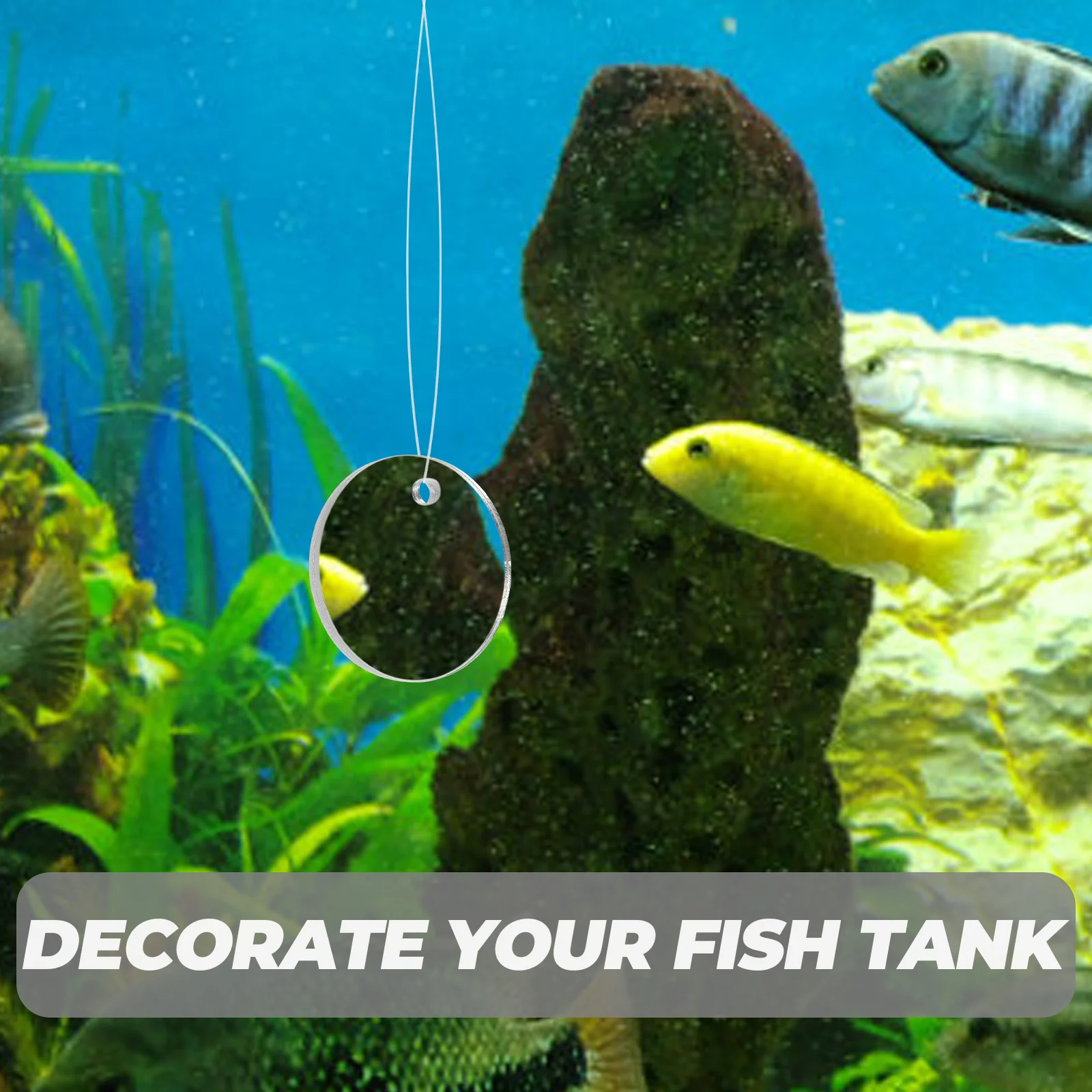 

1 set 1 Set Mirror Floating Tank Decor For Fresh Salt Water Aquariums Safe Training Betta Mirror Betta Fish Fish Tank Decor
