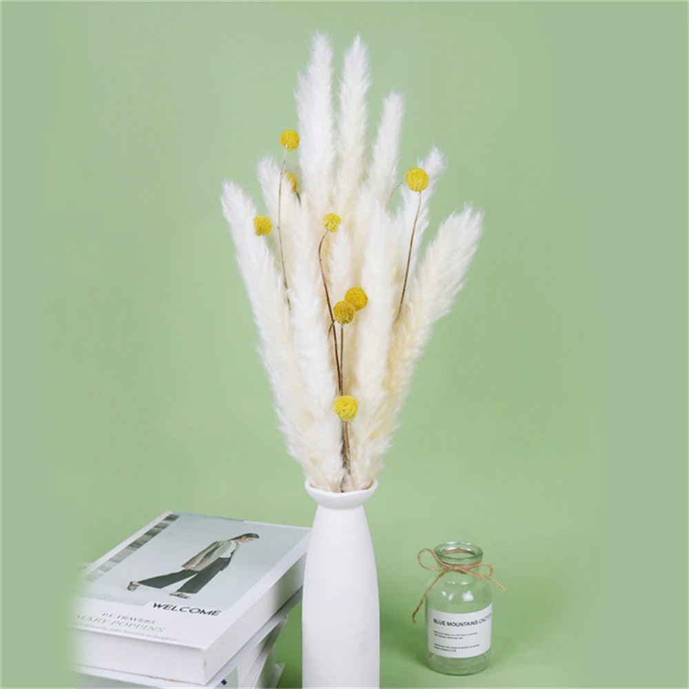 

Pampas Grass Dried Flowers Home Decoration Flower Wall Bedrooms Wedding Supplies Plants Centerpiece Vase Fall Decor Autumn Knows
