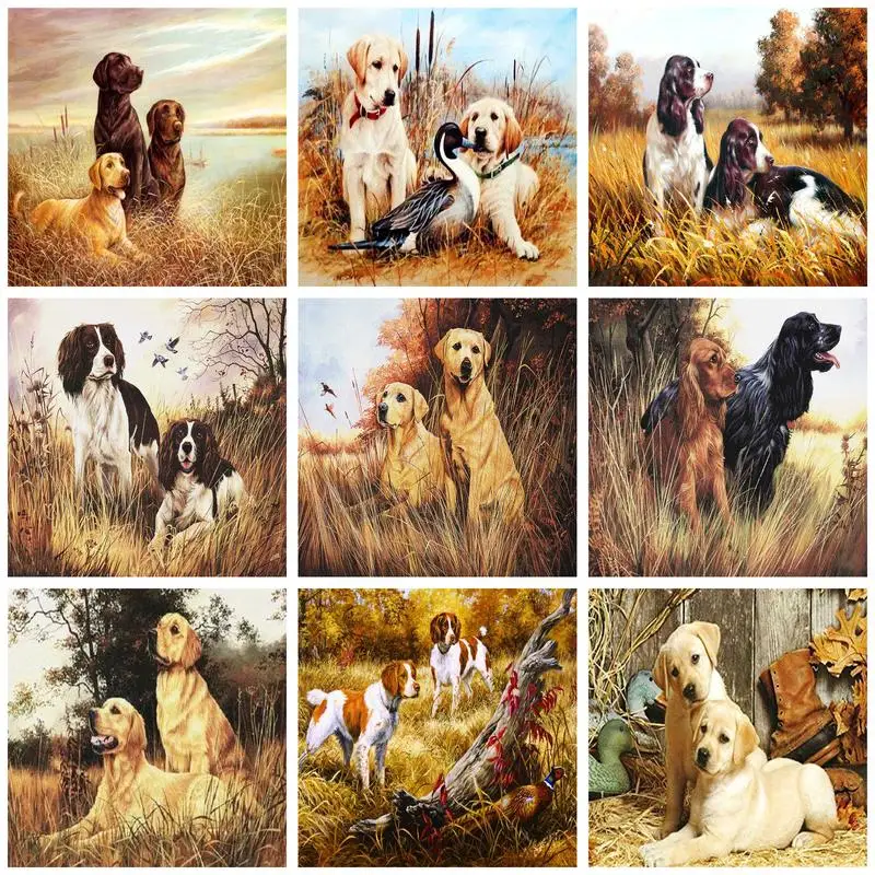 

GATYZTORY Oil Paint By Numbers Dogs Wall Art Pictures By Numbers On Canvas Diy Set Frame For Adults For Kids Handicrafts Gift