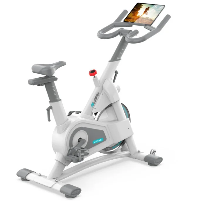 

Professional Indoor Cycling Exercise Bike with Silent Stainless Steel Brushless Motor Limited Discount for Spinning Bikes