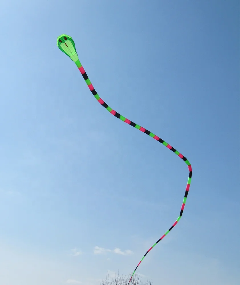 Large inflatable snake kite from Kaixuan kite factory