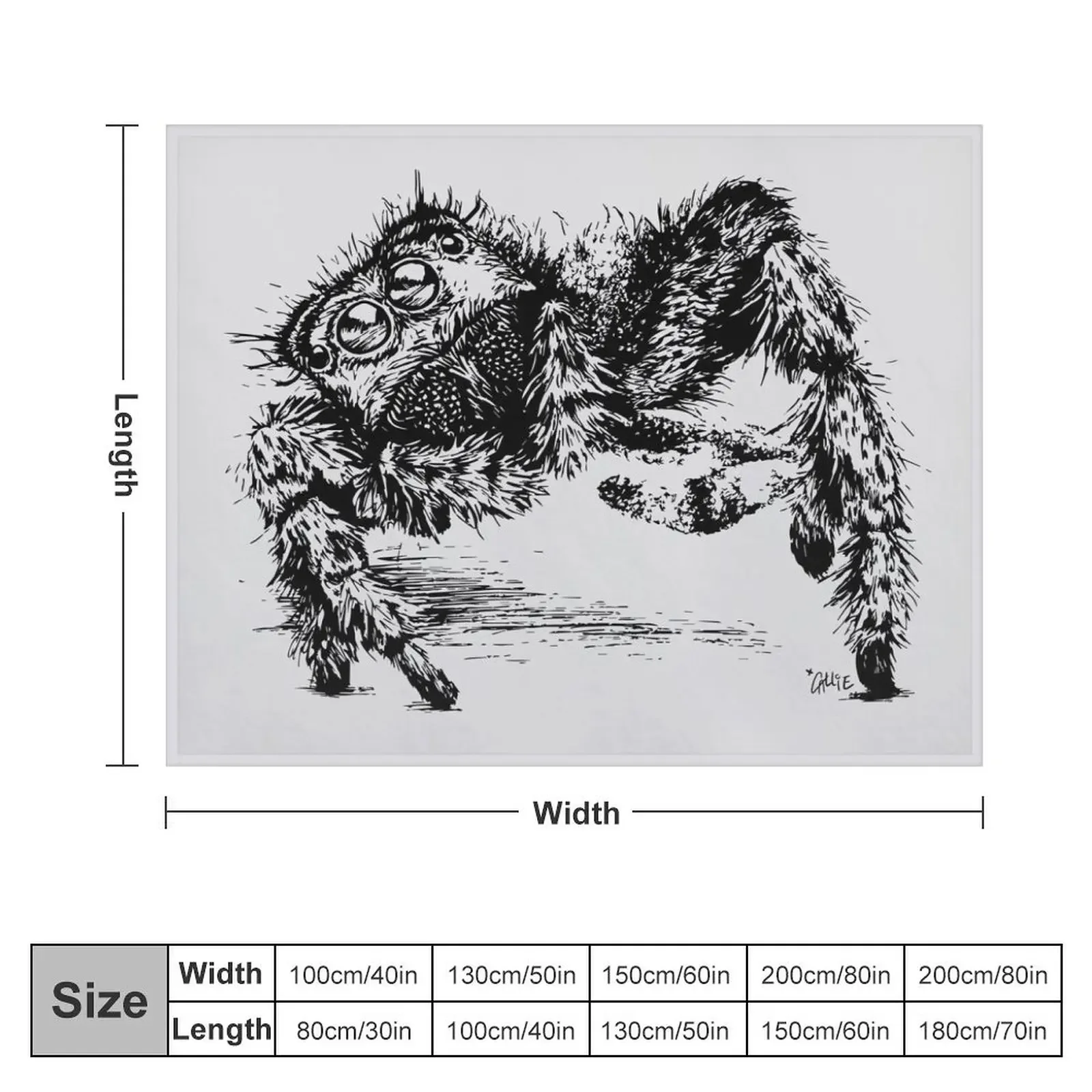 Jumping Spider Encounter Throw Blanket blankets ands warm winter Summer Blankets For Baby Blankets