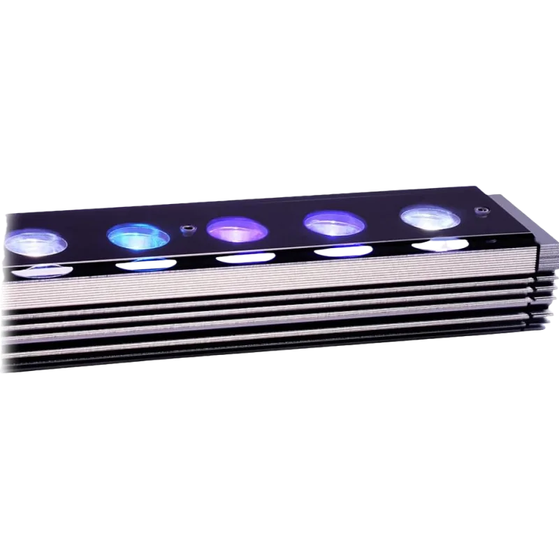 Reef Emitting Diode…