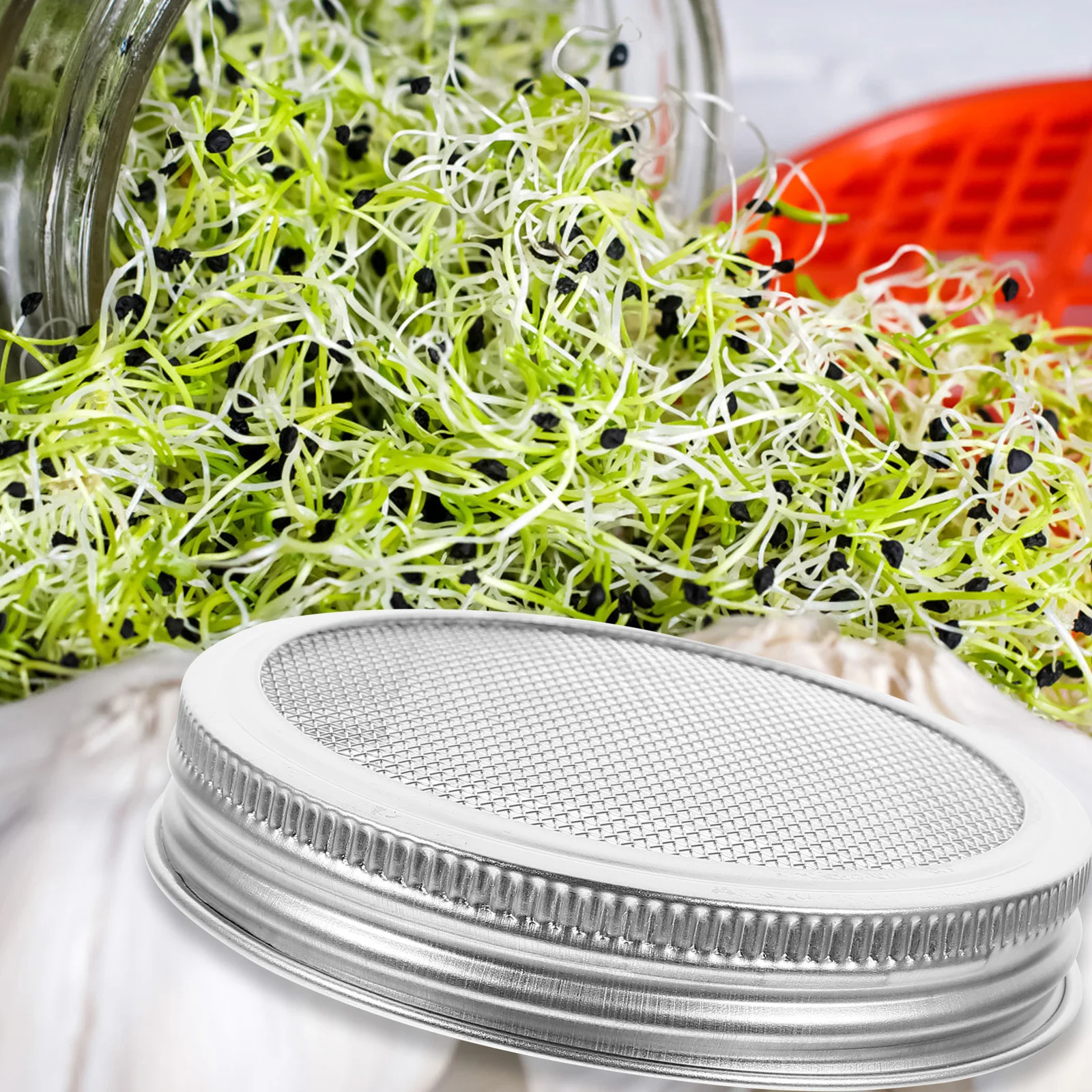 

3pc Stainless Steel Sprouting Lids Fine Mesh Screen Jar Covers for Broccoli Bean Lentil Sprouts Growing Strainer Lid Garden
