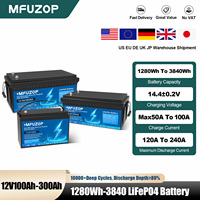 MFUZOP 1280Wh 2560Wh 3840Wh Rechargeable 12V LiFePO4 Battery 100Ah 200Ah 300Ah Intelligent BMS System for Solar Storage System