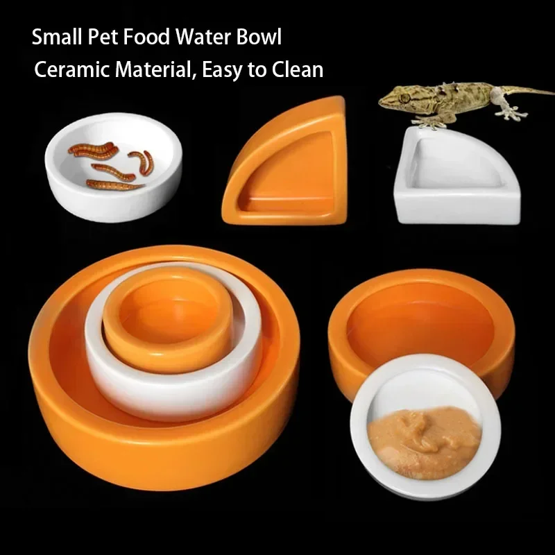 Thumbnail 4 - #33 Best Reptile Water Bowls to Buy In 2026