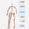 Imodoll-男性用人形,ボディパーツ,男の子用ボディbjd,mjd,白い肌,DIYおもちゃ,ギフト,オリジナルの人形アクセサリー,高さ38cm,1/4 5