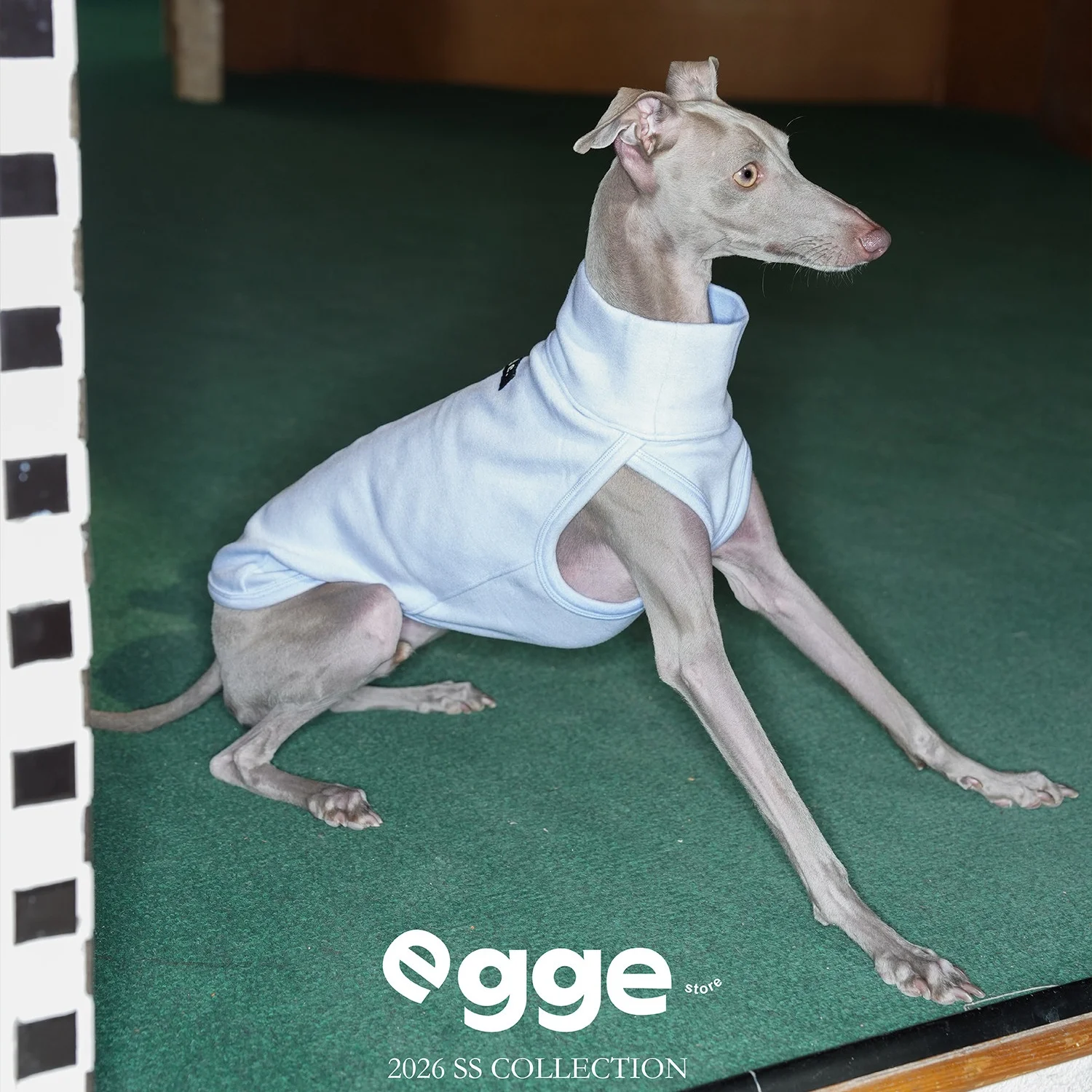 

Антистатический жилет EGGE из флиса Dralon для итальянских грейхаундов (сине-желтый), уютная осенняя футболка для собак пород виппет