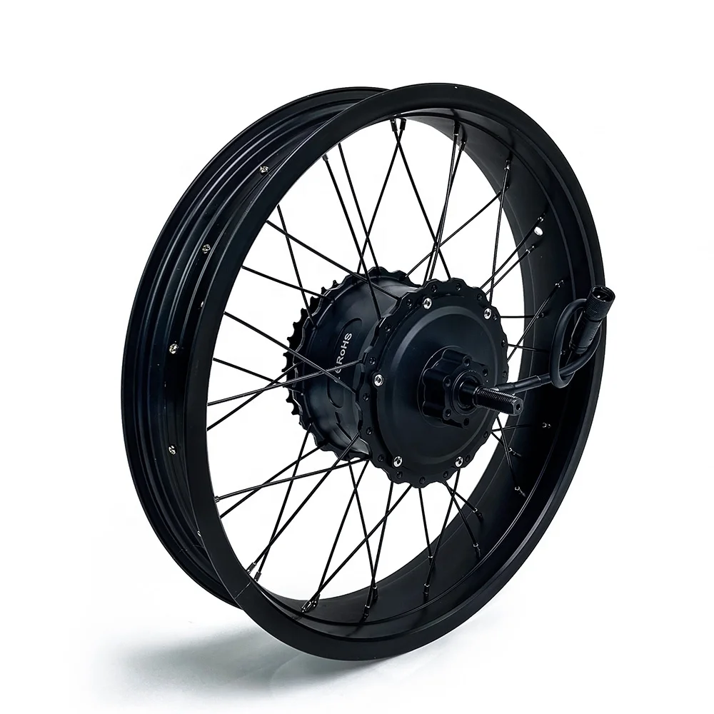 T20 EBike Rear Hub Motor Accessories Electric Bike