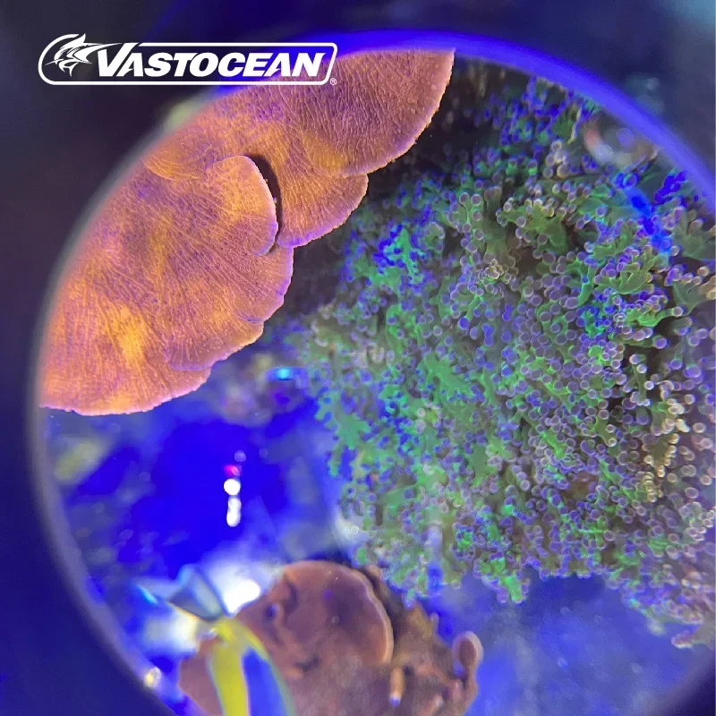 VASTOCEAN 수족관 수면 광학 확대경, 생물을 가까이서 볼 수 있는 선명한 산호 관찰 거울, 3 배