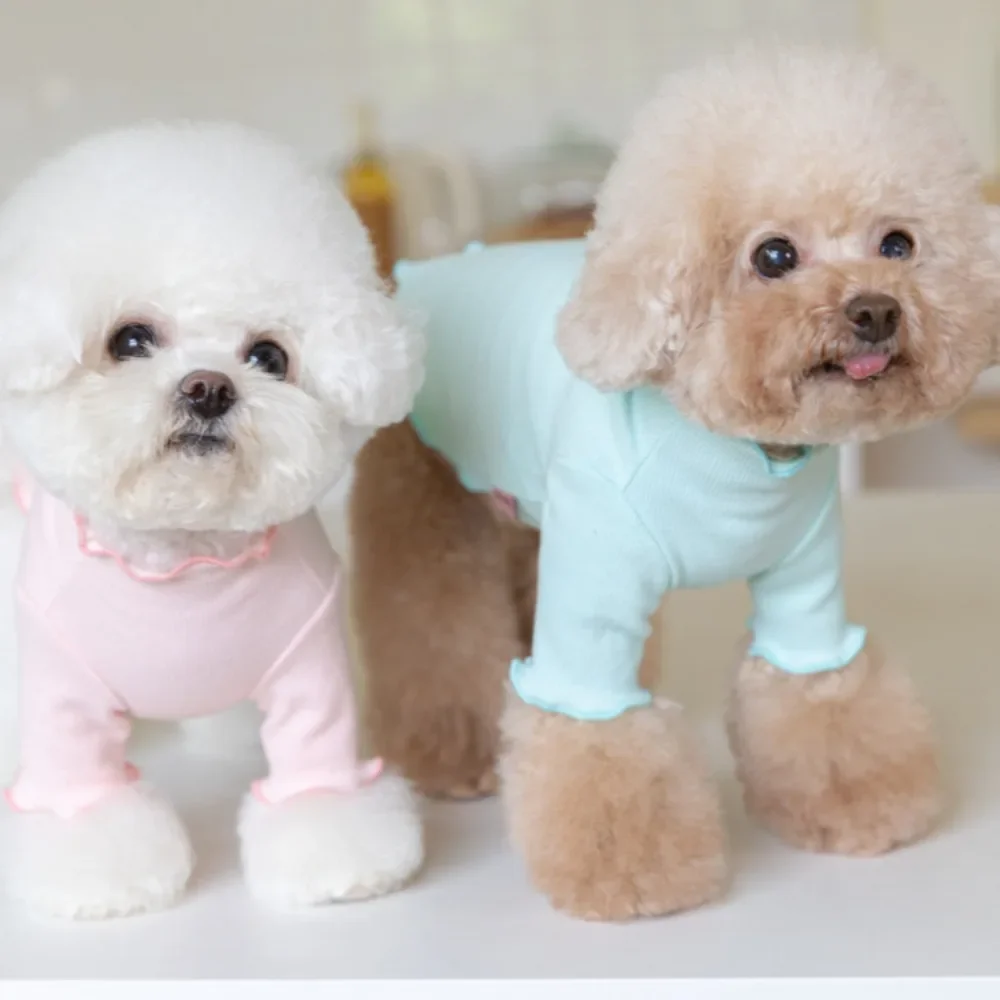 Bow Winter Cute Pet Dog Clothes Hoodies with Embroidered Lace Base Pet Candy Colored Embroidered Teddy Clothing For Small Dogs