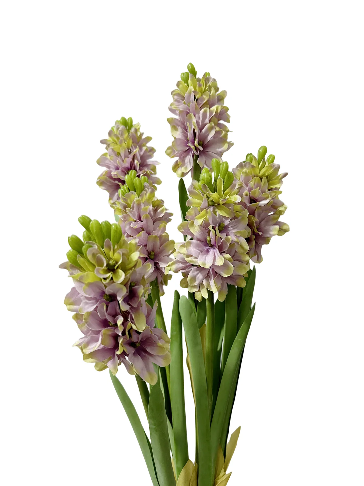 Bluebel: Die perfekte Kombination aus Eleganz und Langlebigkeit für Ihre Blumenarrangements